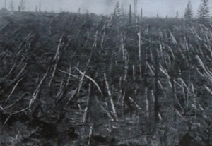Una delle famose foto scattate negli anni 30 del disastro di Tunguska