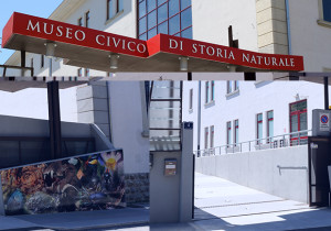 Ingresso Museo di Storia Naturale di Trieste