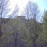 CONCORSO “MEGAL(M)ITI & MEGAL(M)ITICHE” – CAT 2 “FOTOGRAFA IL MISTERO” – Foto delle Mura Megalitiche di Alatri scattate da Domenico La Posta di Sora