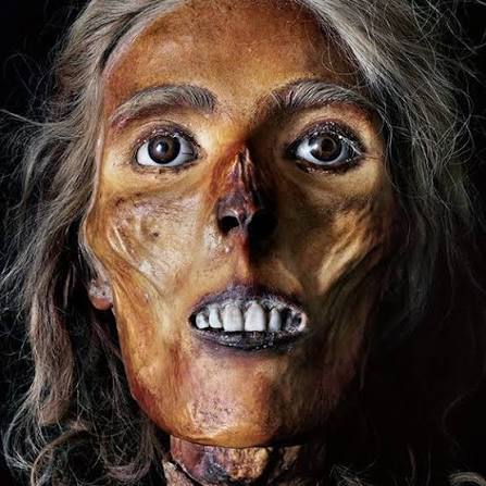 Anatomia - Testa pietrificata di giovane donna. Girolamo Segato Museo Anatomico Fiorentino #museo #museoanartomia #Segato #anatomiapertutti #seguilagioconda
